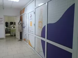 Фотография Любопытный ёжик 1