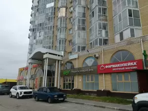 Фотография Любопытный ёжик 3